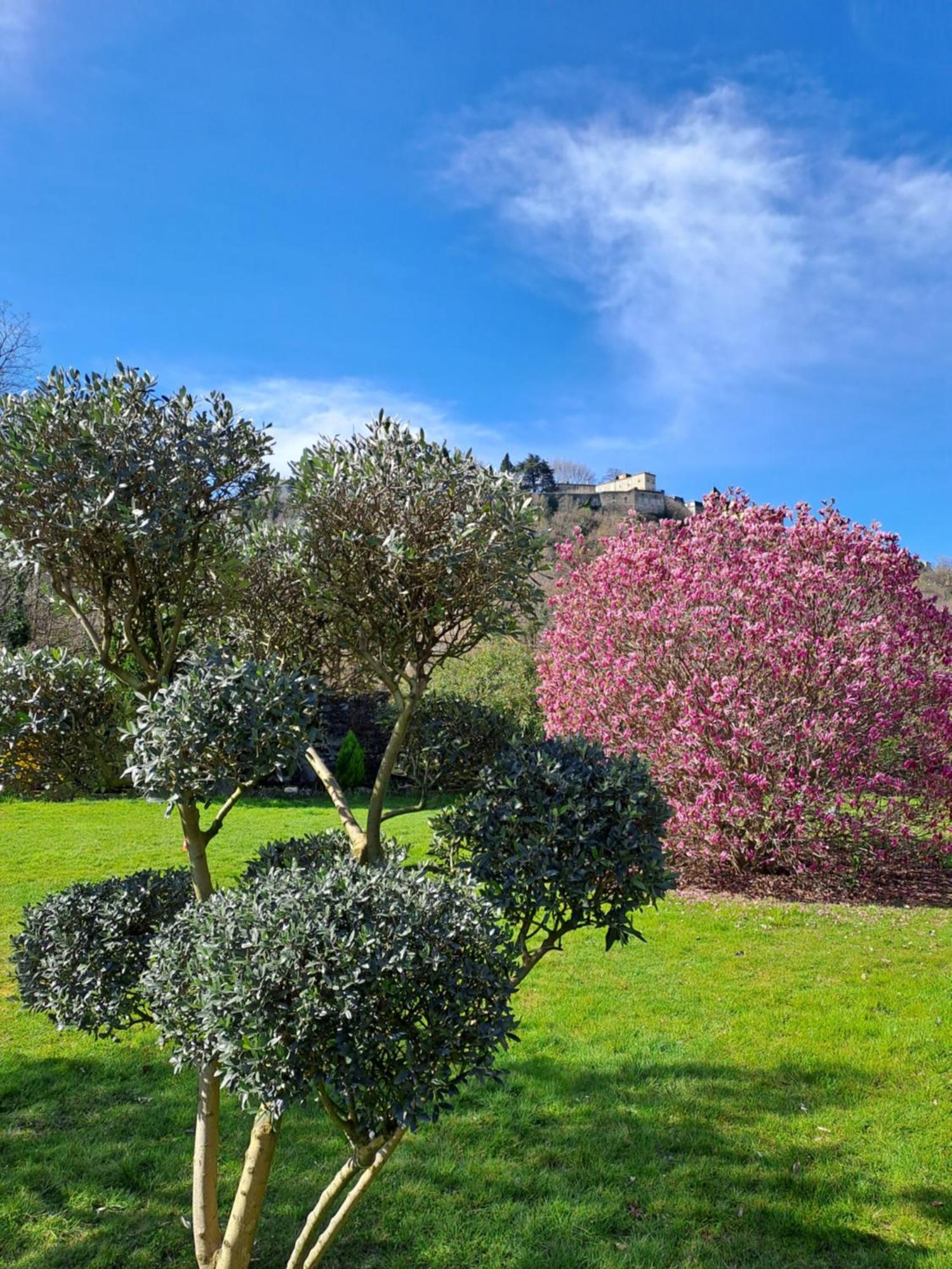 Gite 3 "Le Canal De Baza" Aux Magnolias Обена Экстерьер фото